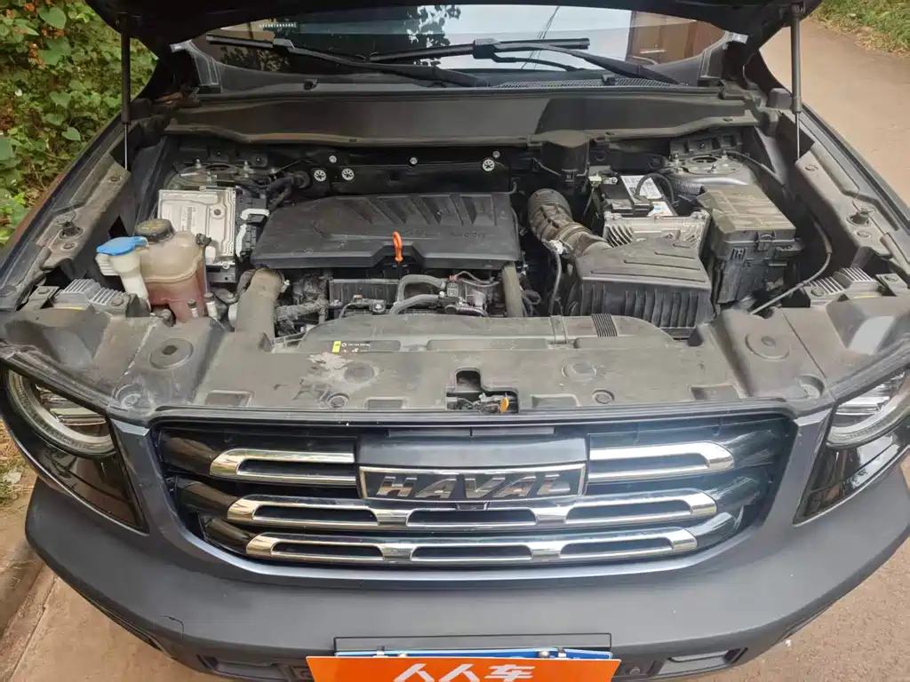 Haval Big Dog — фото 11