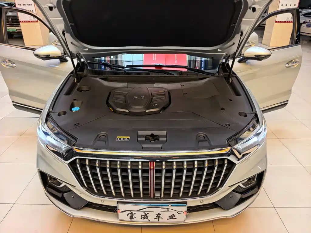 Hongqi Hongqi HS5 — фото 21