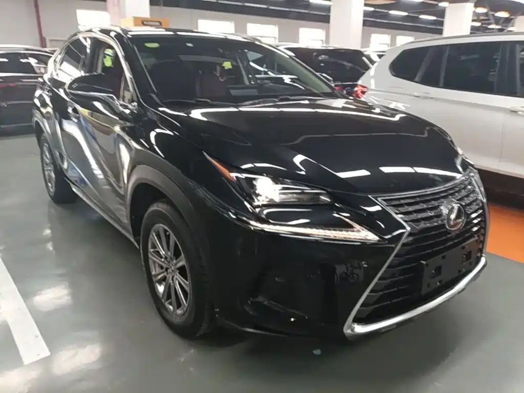 Lexus NX — фото 4