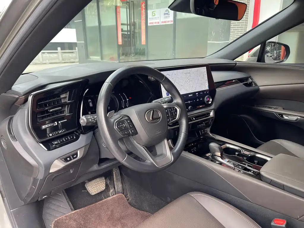Lexus RX — фото 18