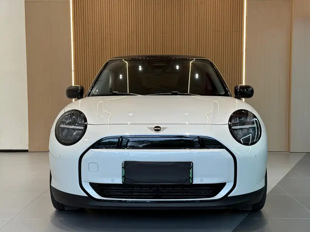 MINI MINI ACEMAN EV — фото 2
