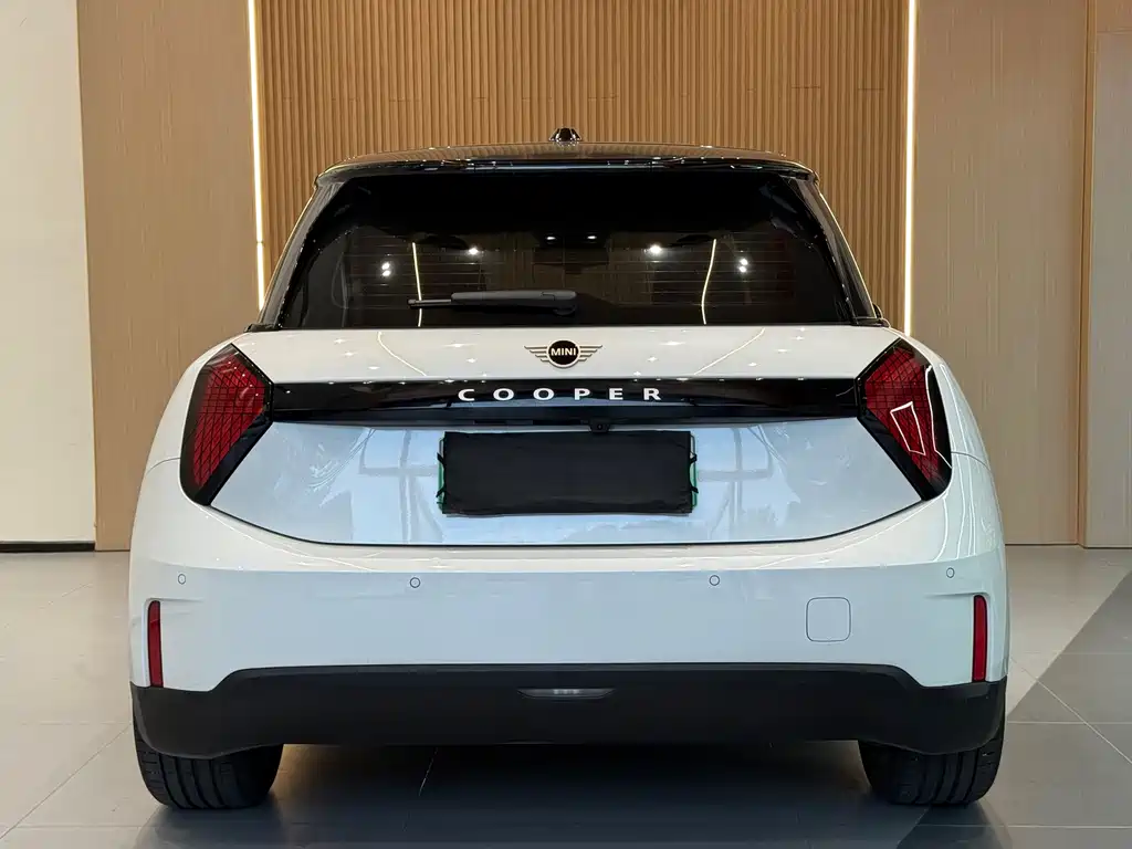 MINI MINI ACEMAN EV — фото 17