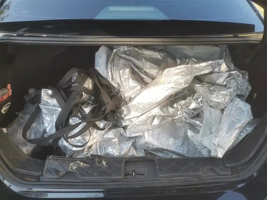 Nissan Sylphy — фото 4