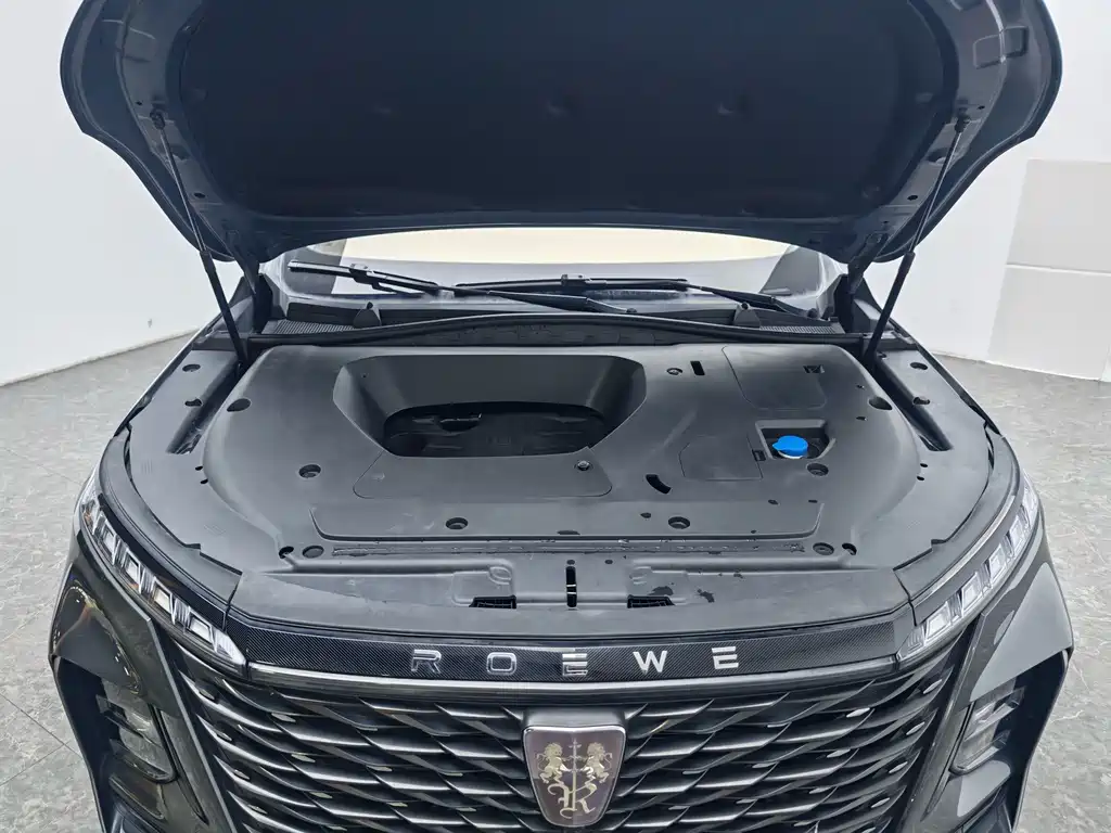 Roewe RX5 MAX — фото 13