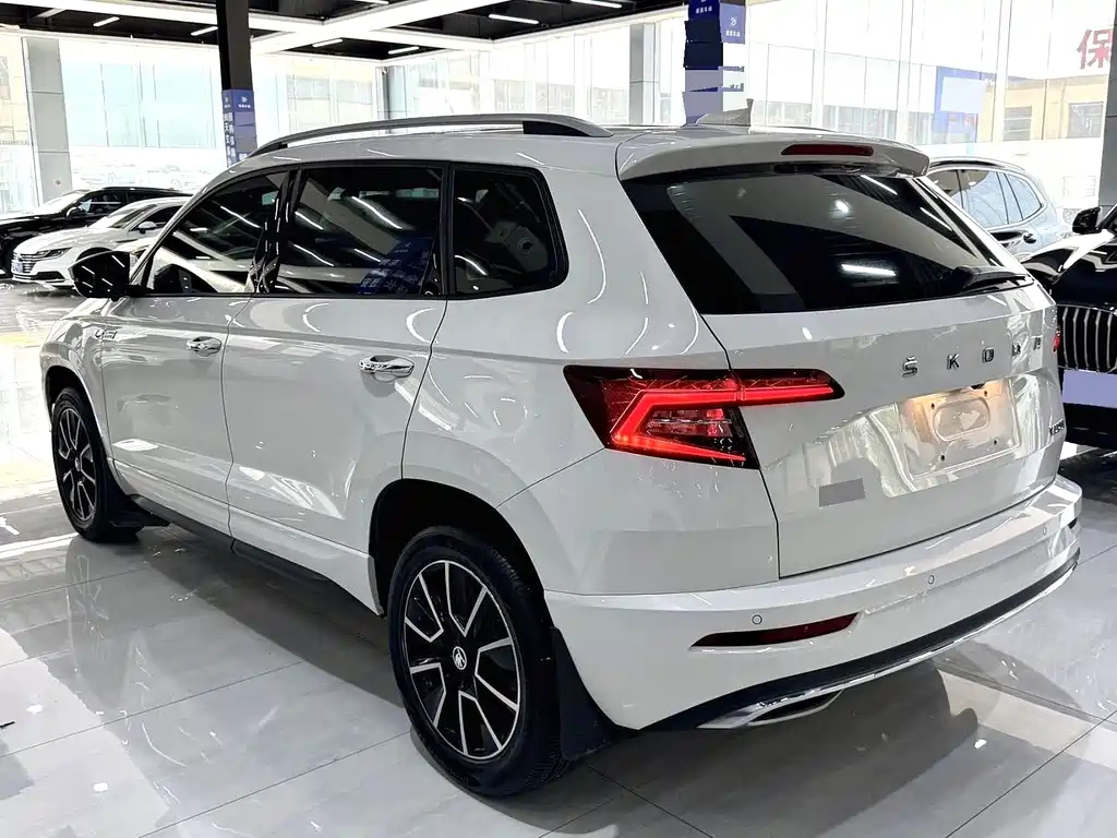 Skoda Karoq — фото 11