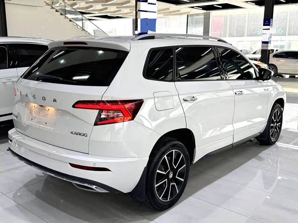 Skoda Karoq — фото 13