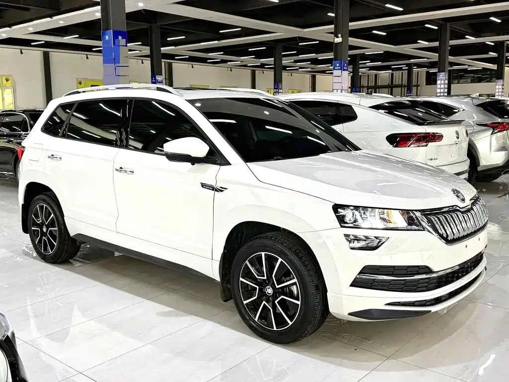 Skoda Karoq — фото 3