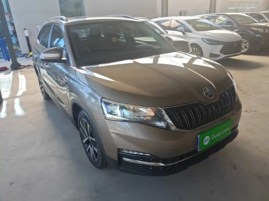 Skoda Kamiq — фото 4