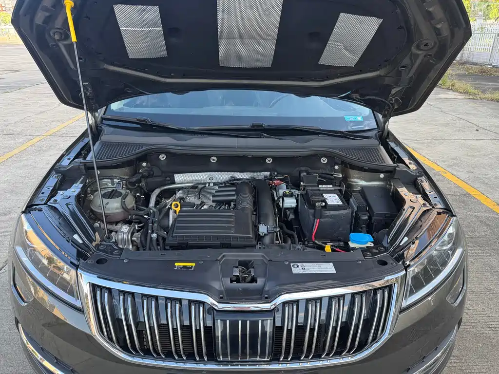 Skoda Karoq — фото 17