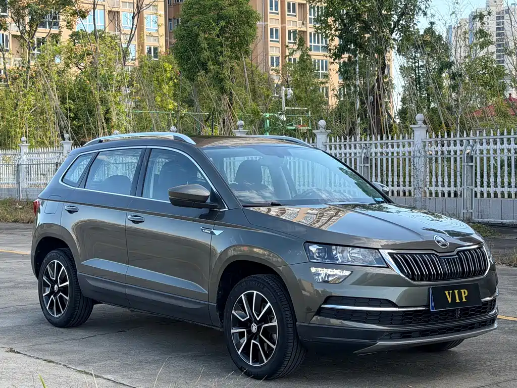 Skoda Karoq — фото 3