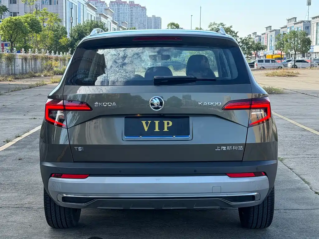 Skoda Karoq — фото 6