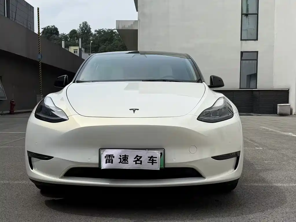 Tesla Model Y — фото 2