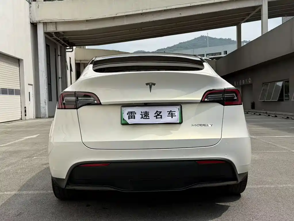 Tesla Model Y — фото 8