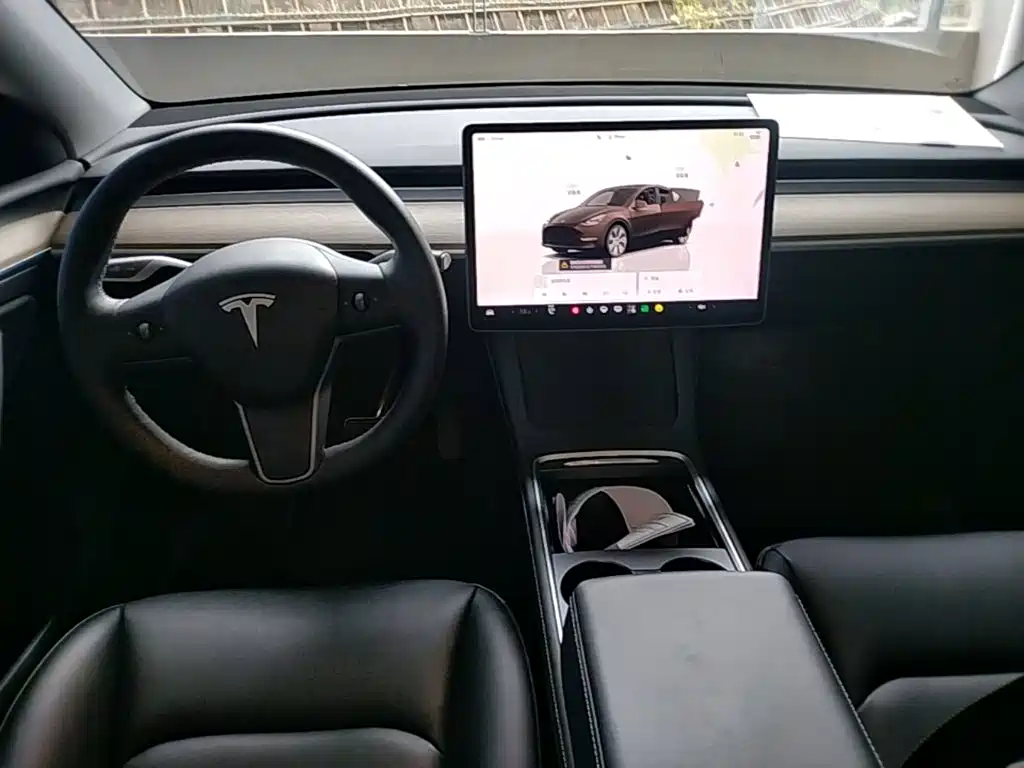 Tesla Model Y — фото 14