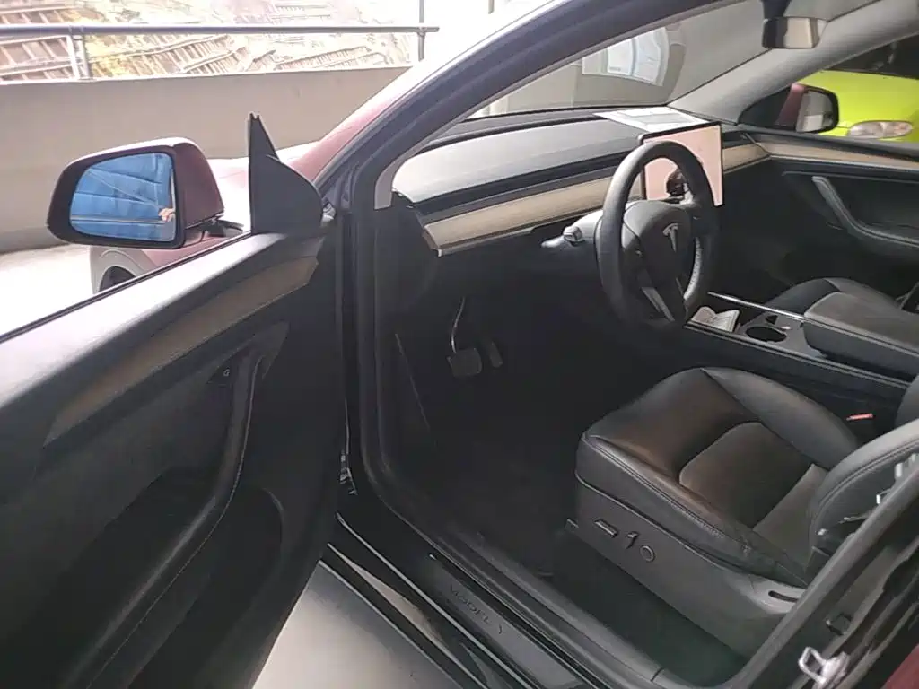 Tesla Model Y — фото 21
