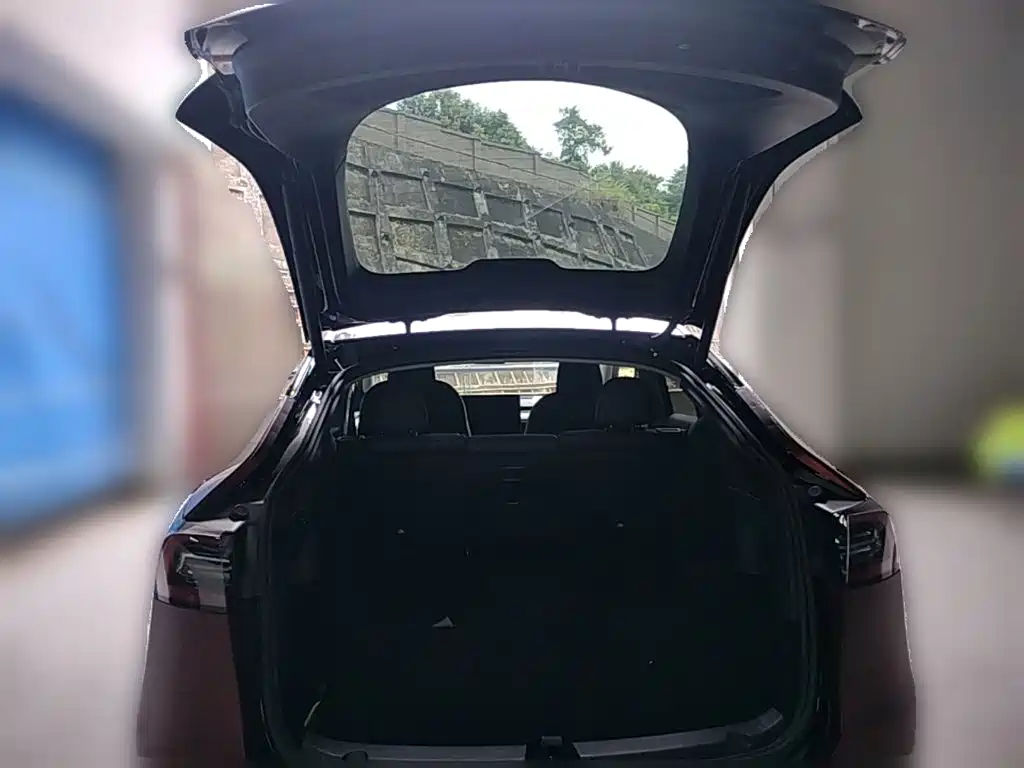 Tesla Model Y — фото 24