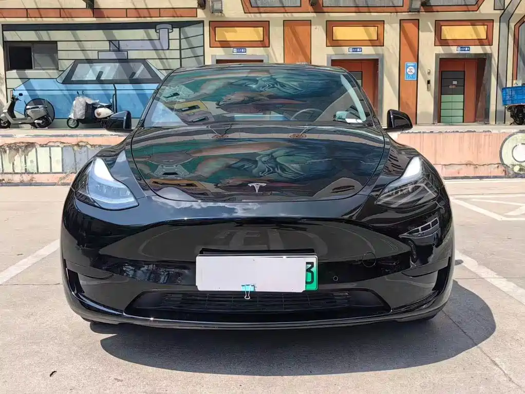 Tesla Model Y — фото 2