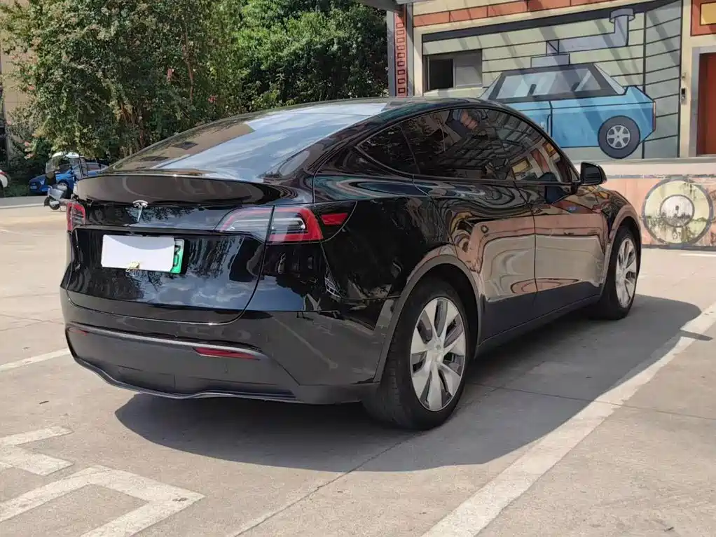 Tesla Model Y — фото 18