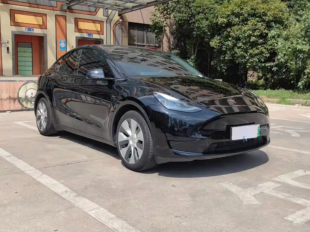 Tesla Model Y — фото 3