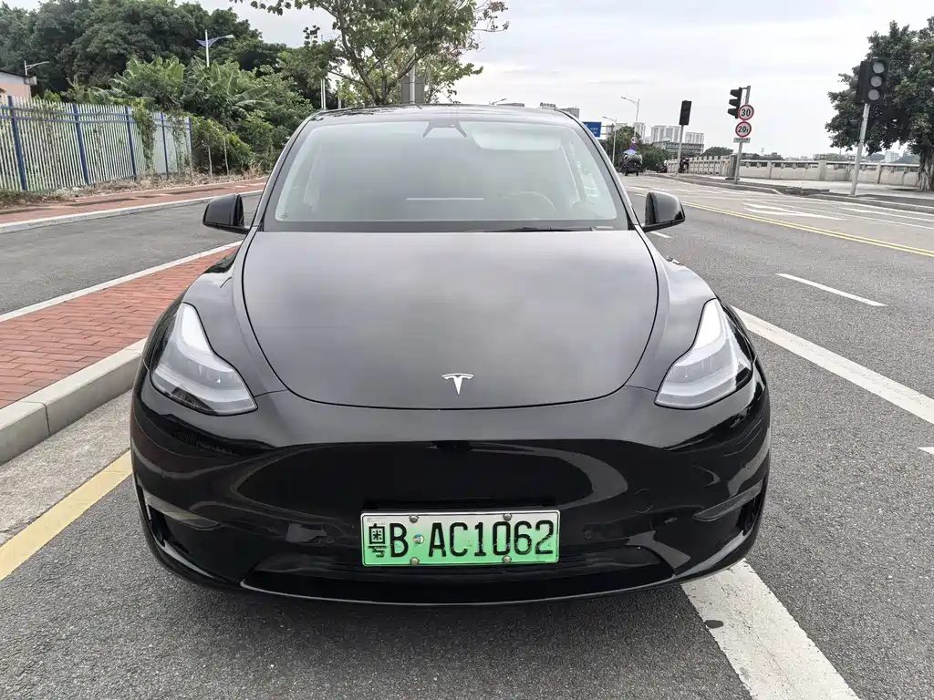 Tesla Model Y — фото 2
