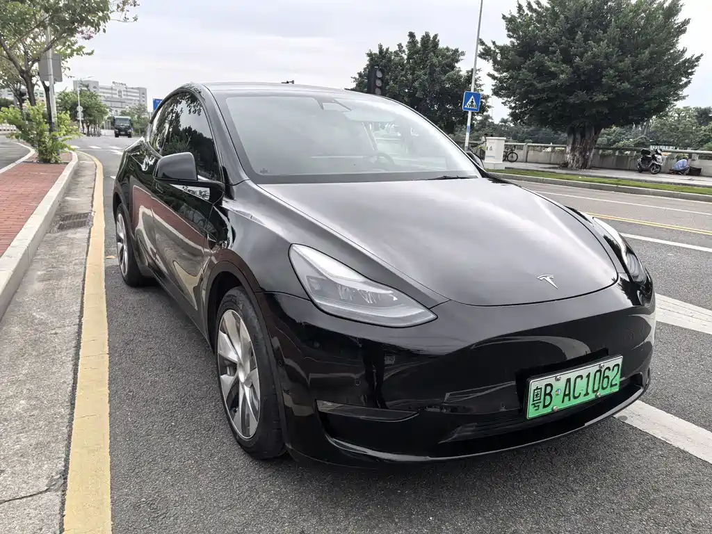 Tesla Model Y — фото 3