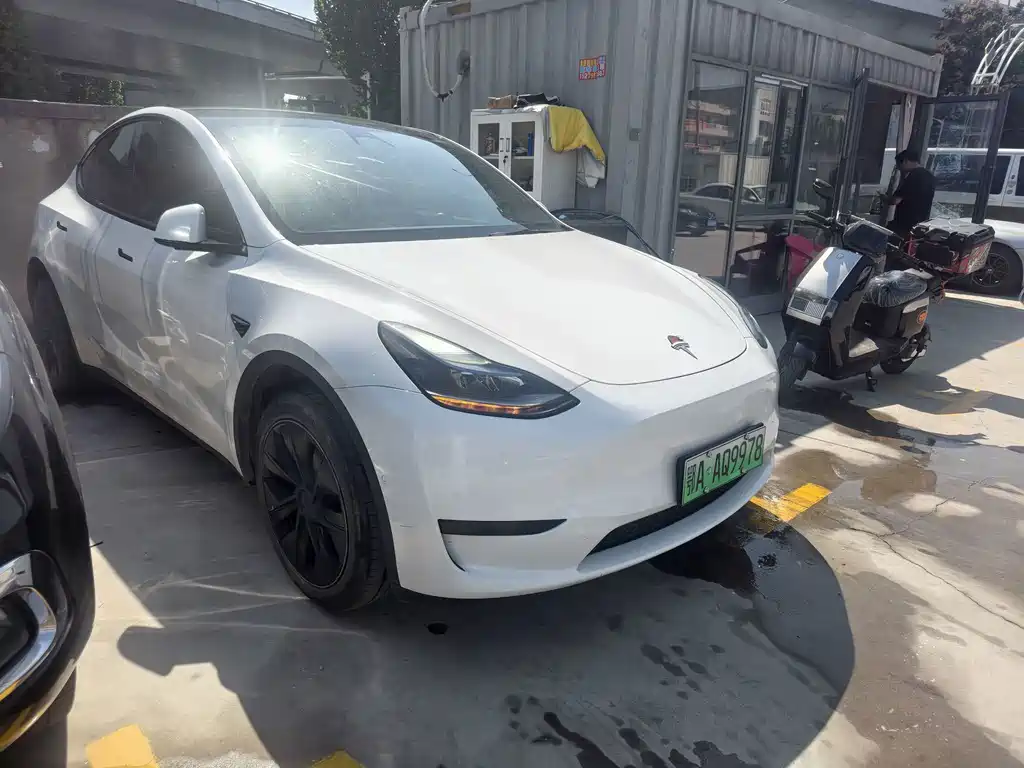 Tesla Model Y — фото 3