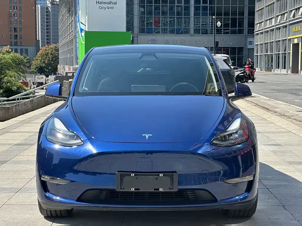 Tesla Model Y — фото 2