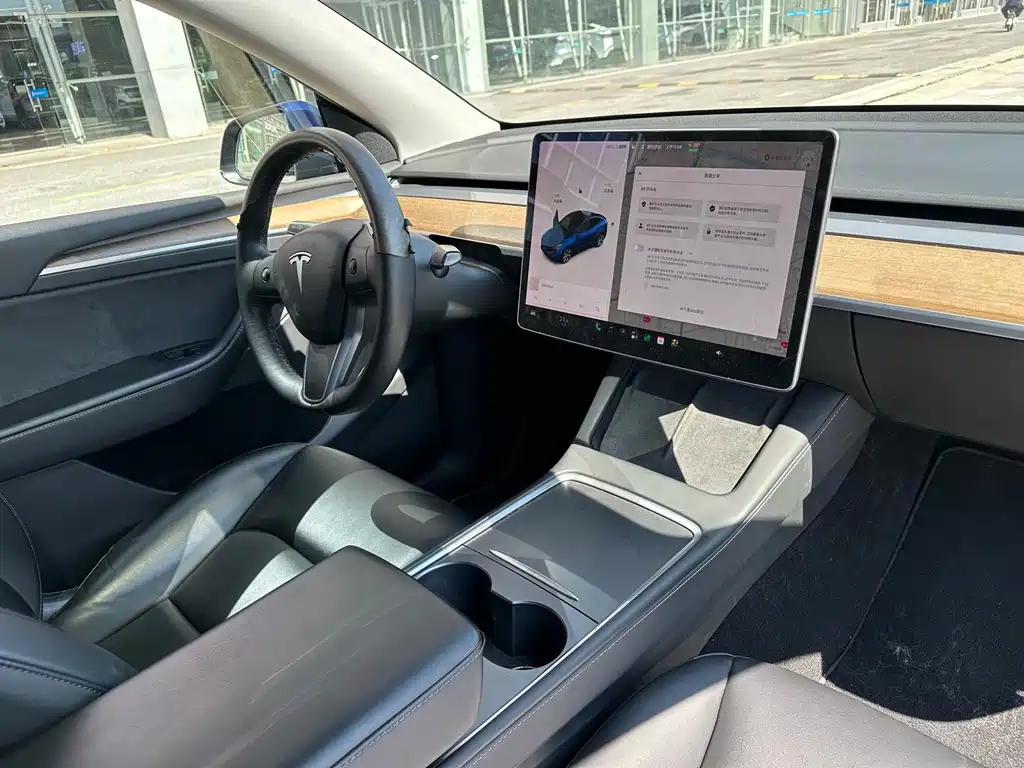 Tesla Model Y — фото 17