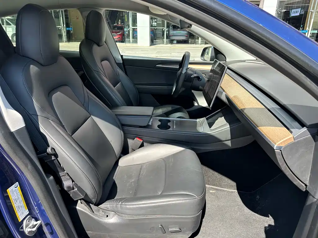 Tesla Model Y — фото 18