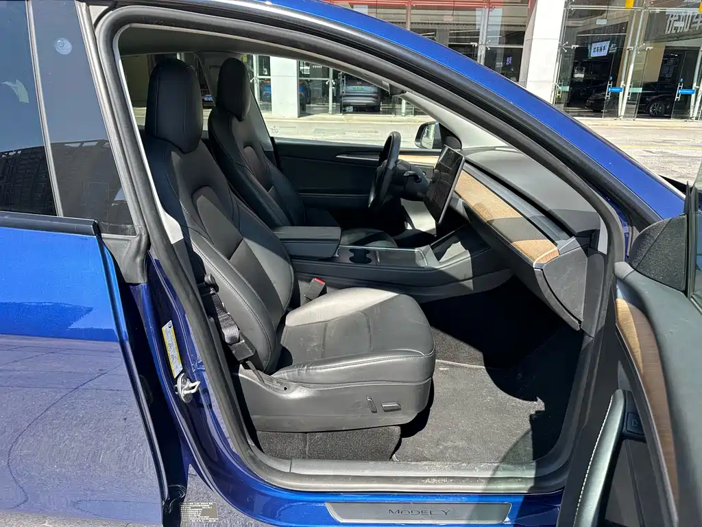 Tesla Model Y — фото 19