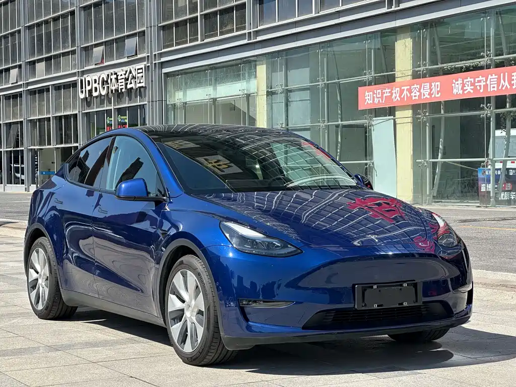 Tesla Model Y — фото 3