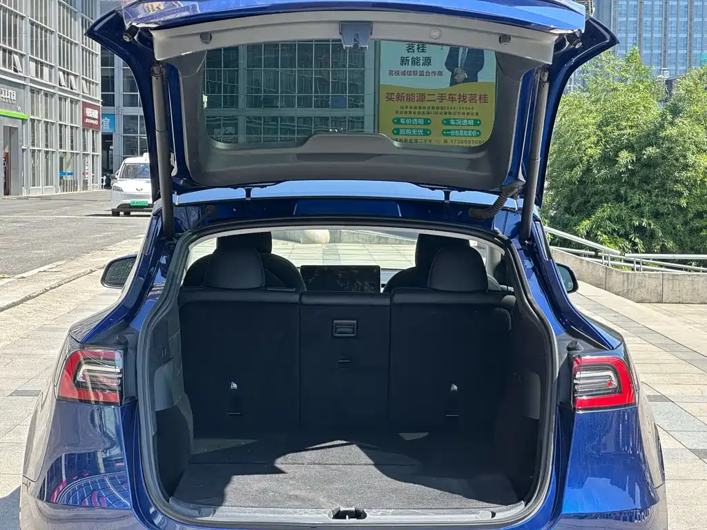 Tesla Model Y — фото 25
