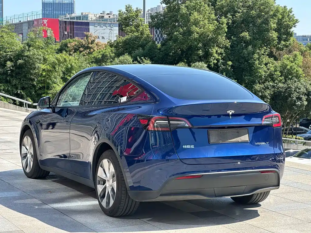 Tesla Model Y — фото 4