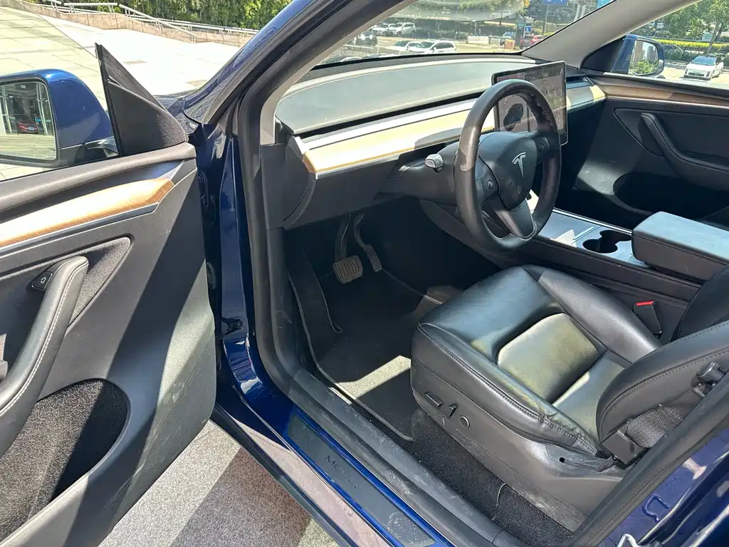 Tesla Model Y — фото 10