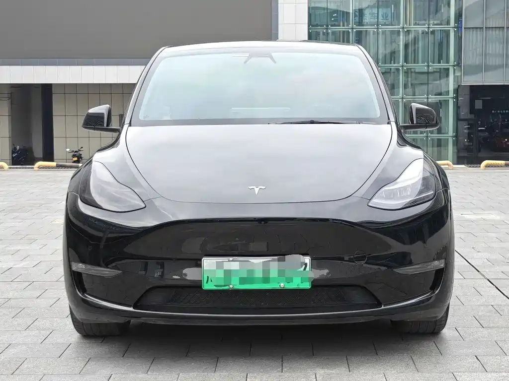 Tesla Model Y — фото 2