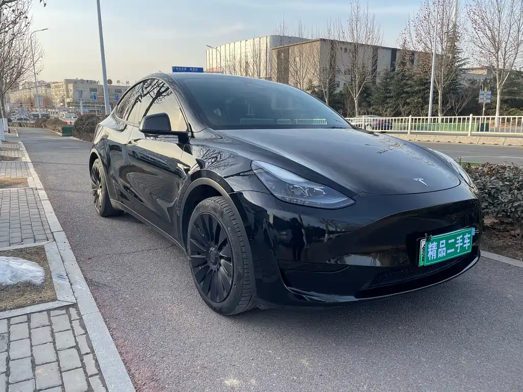 Tesla Model Y — фото 3