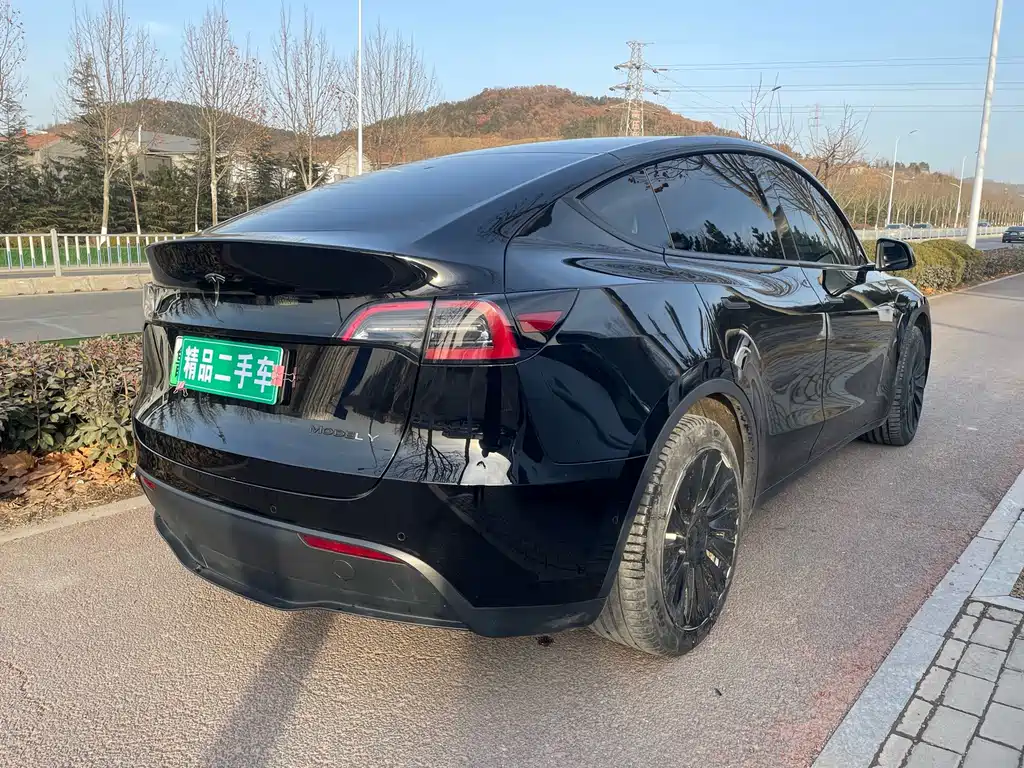 Tesla Model Y — фото 4