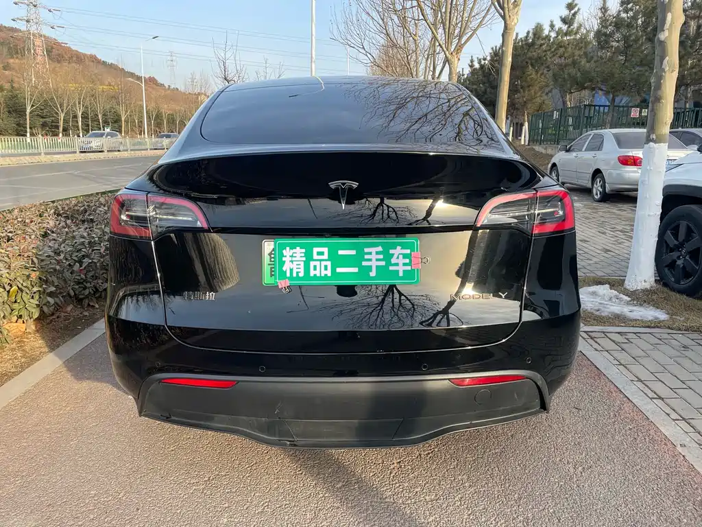 Tesla Model Y — фото 5