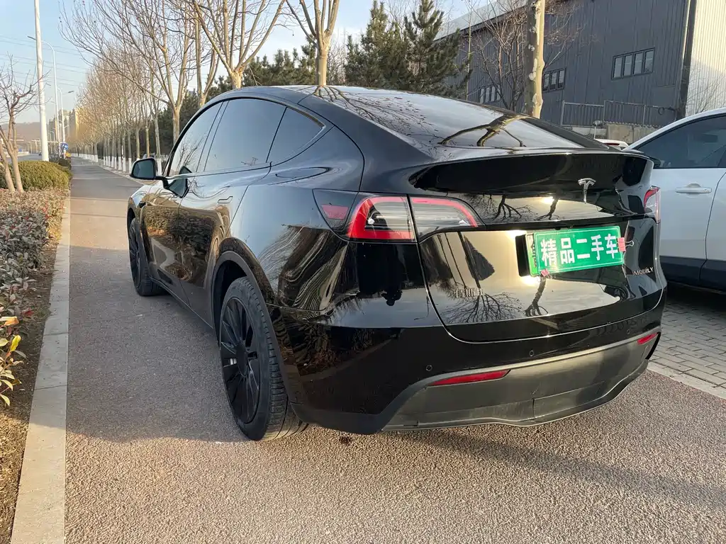 Tesla Model Y — фото 6