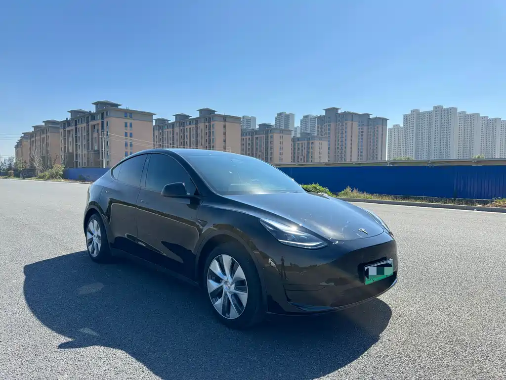 Tesla Model Y — фото 3