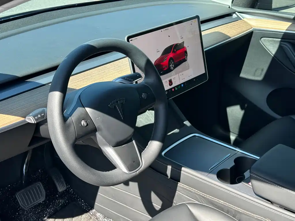 Tesla Model Y — фото 8