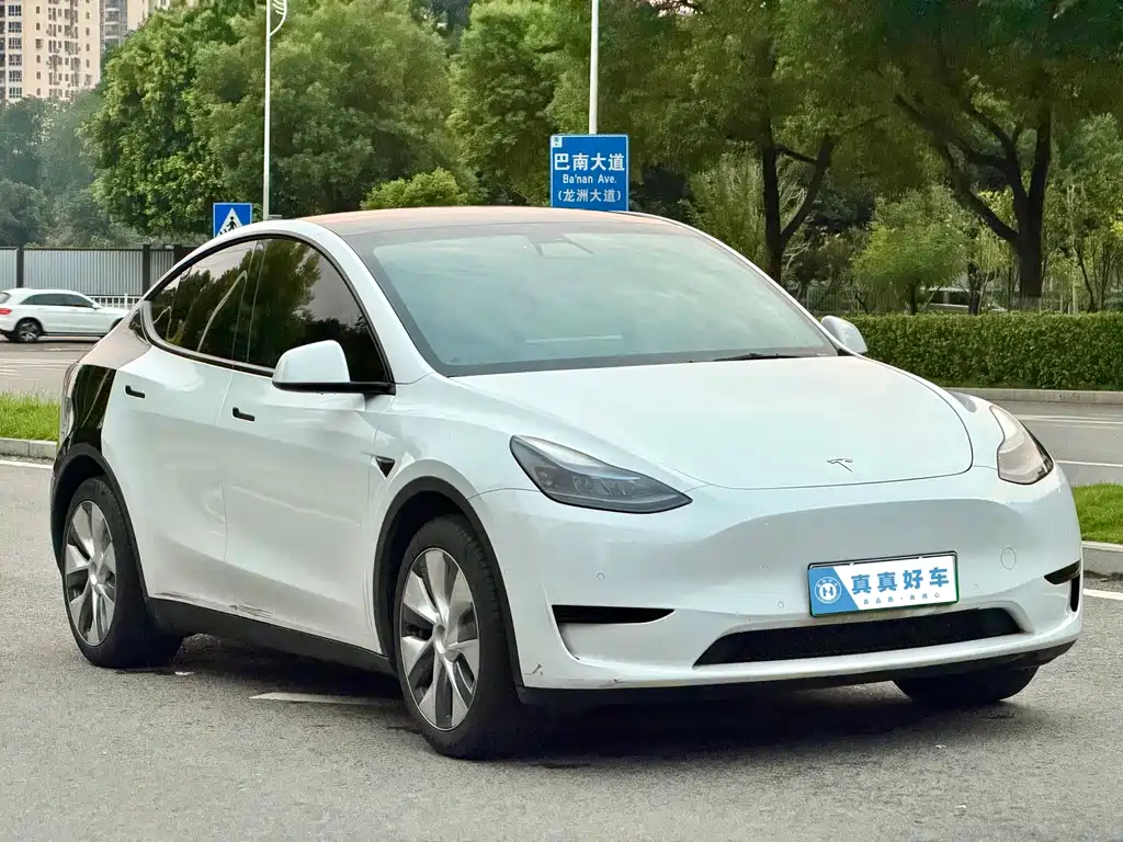 Tesla Model Y — фото 3