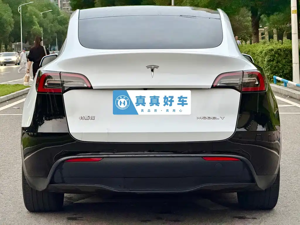 Tesla Model Y — фото 5
