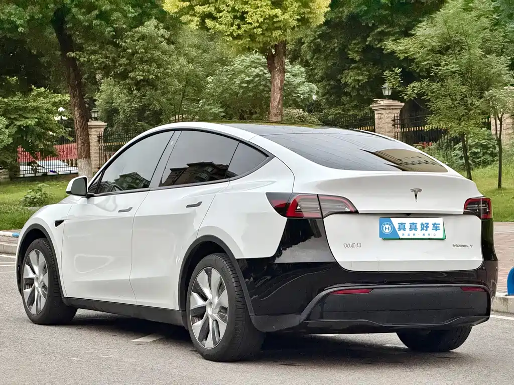 Tesla Model Y — фото 6