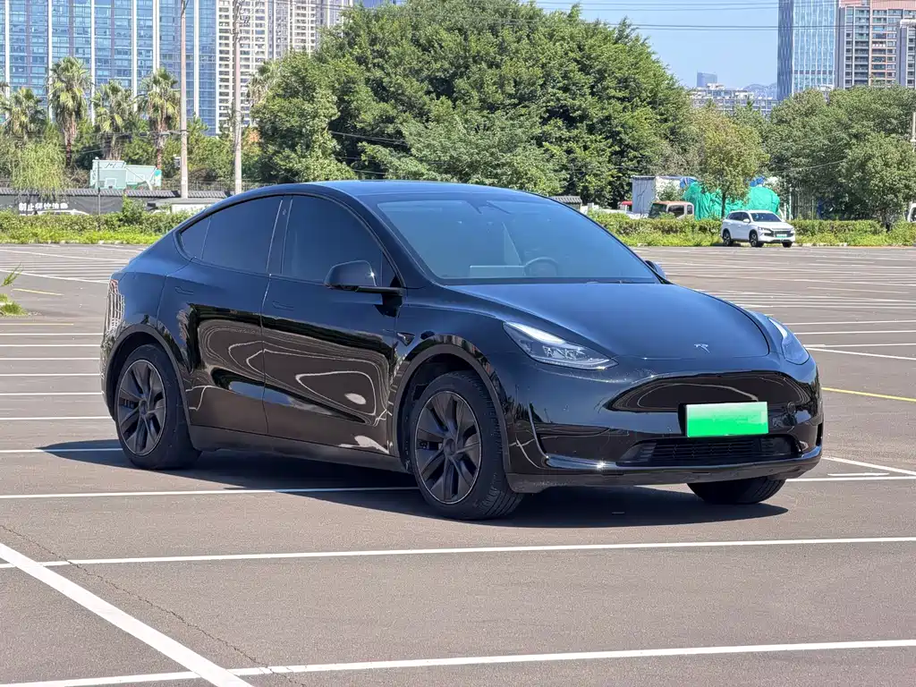 Tesla Model Y — фото 3