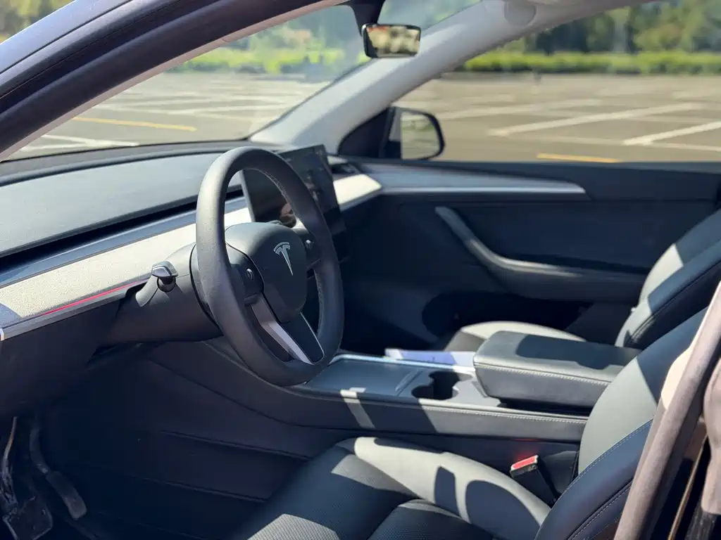 Tesla Model Y — фото 6