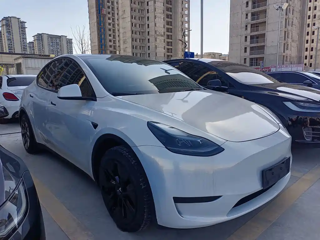 Tesla Model Y — фото 3