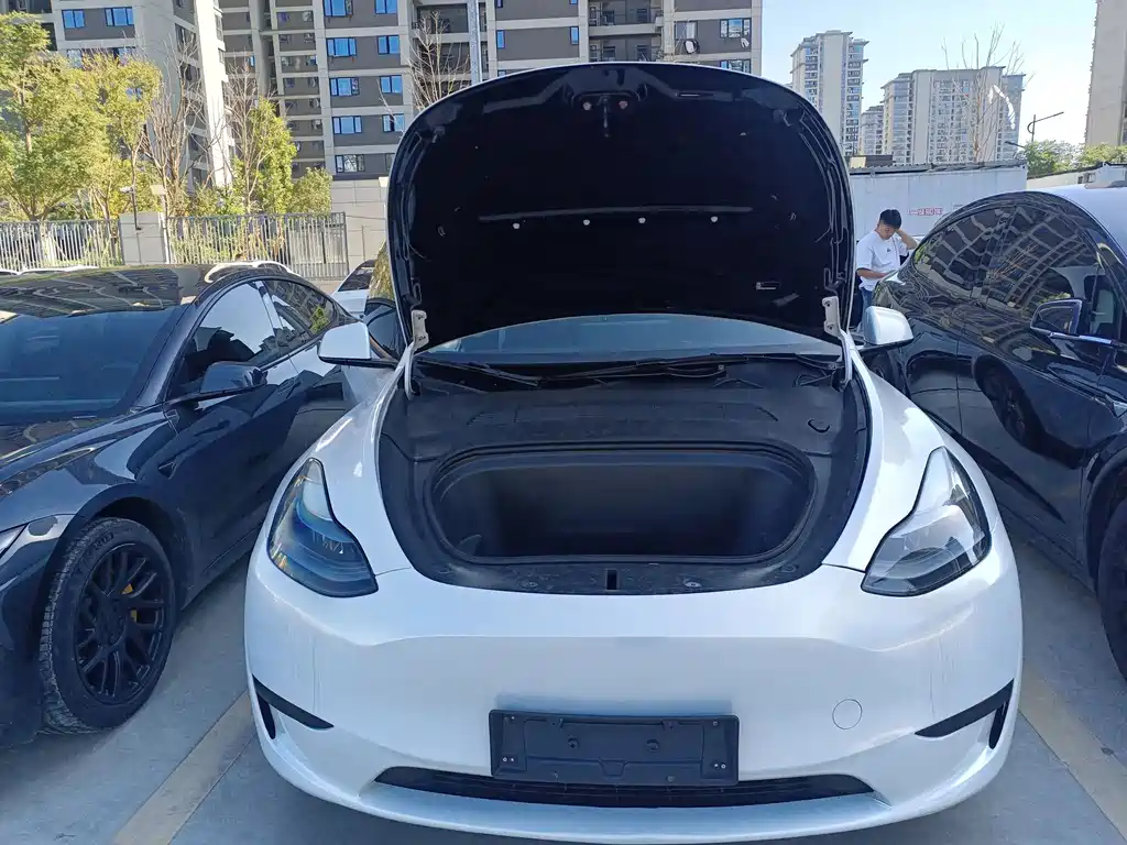 Tesla Model Y — фото 29