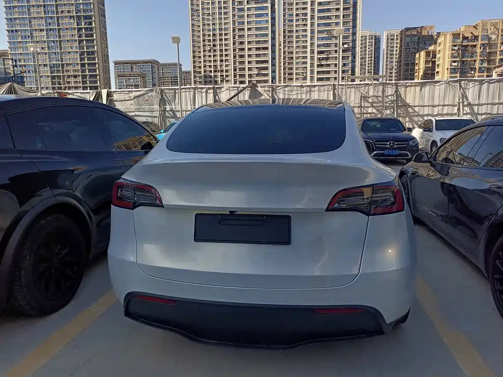 Tesla Model Y — фото 5