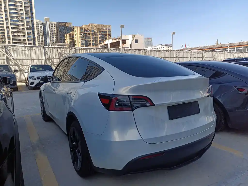 Tesla Model Y — фото 6